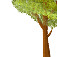 A Green Tree png