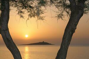 Sunset between two trees in the foreground, island on the horizon. photo