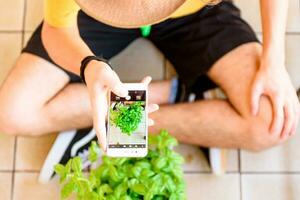 aéreo ver de uno persona tomando un foto de un planta en un teléfono