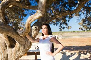 hermosa mujer en pie por el árbol foto