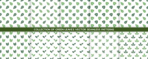 Collection of Green Leaves vector seamless pattern background.