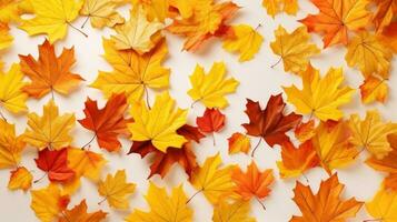 ai generative Autumn maple leaves on white background. Flat lay, top view photo