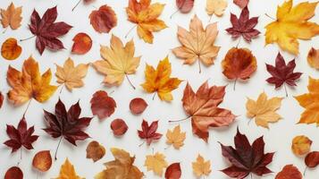 ai generative Autumn background with colorful leaves. Flat lay, top view, copy space photo