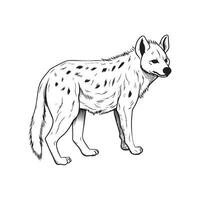 Hyena Vector image, Icons, and Graphics