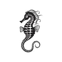 Seahorse Vector Art, Icons, and Graphics