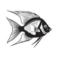 Fish vector image, illustration of fish