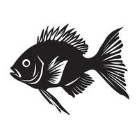 Fish vector image, illustration of fish