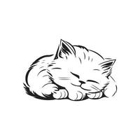 Cat image Vector, art and Illustration vector
