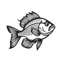 Fish vector image, illustration of fish