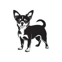 Chihuahua Vector Art, Icons, and Graphics