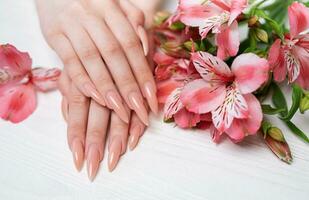 Elegant pastel pink natural manicure. photo