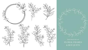 Eucalyptus Line Art. Floral Frames and Bouquets Line Art. Fine Line Eucalyptus Frames Hand Drawn Illustration. Hand Draw Outline Leaves and Flowers. Botanical Coloring Page. Eucalyptus Isolated vector