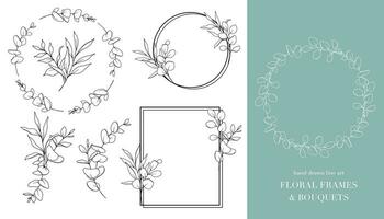 Eucalyptus Line Art. Floral Frames and Bouquets Line Art. Fine Line Eucalyptus Frames Hand Drawn Illustration. Hand Draw Outline Leaves and Flowers. Botanical Coloring Page. Eucalyptus Isolated vector