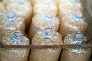 Spore bags in mushroom cultivation farms photo