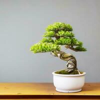 Photo of bonsai in the minimalist pot as a houseplant. ai generated