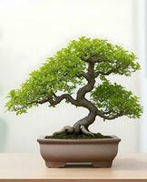 Photo of bonsai in the minimalist pot as a houseplant. ai generated