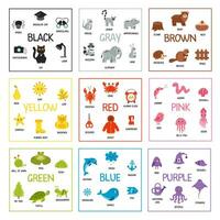 Color learning cards for kids. Big Colorful set of flashcards. Basic colors. vector