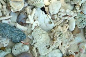 blanco roto muerto coral playa naturaleza antecedentes en Tailandia mar. foto
