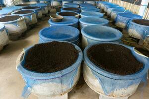 Worm farm for farmers to use to make good soil photo