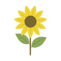 ilustración vectorial de girasol vector