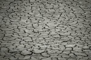 Dry land or soil during the dry season photo