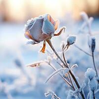 ai generado hermosa flor con invierno antecedentes. foto