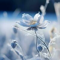 ai generado hermosa flor con invierno antecedentes. foto