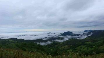 lindo manhã panorama e névoa. Tempo lapso vídeo video