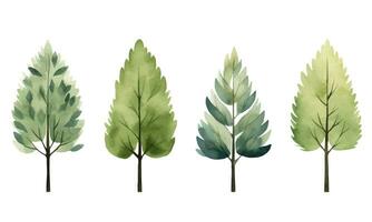 Collection of scandi watercolor trees. Trendy vector plants. Cute abstract colorful trees clipart.