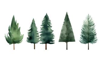 Collection of scandi watercolor fir trees. Trendy scandinavian vector plants. Cute abstract trees clipart.