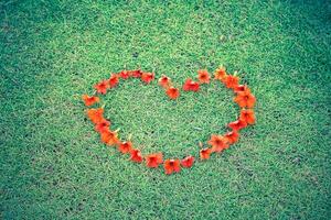 red heart from flowers on grass photo