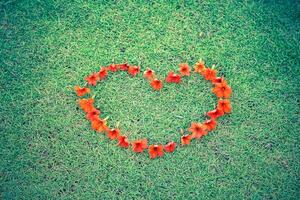 red heart from flowers on grass photo