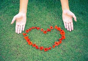 red heart from flowers on grass photo