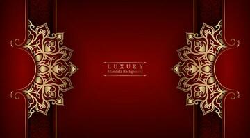 Luxury background  with mandala ornament vector