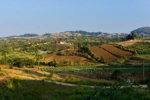 paisaje ver de Khao kho en fetchabun, tailandia foto