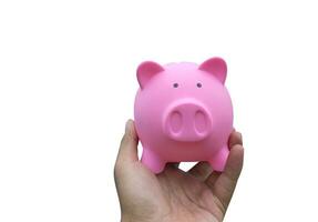 Male hand holding a pink piggy bank isolated on white photo