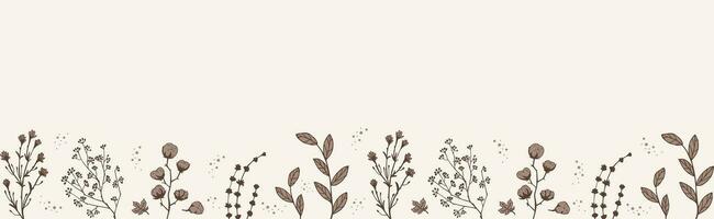 Horizontal Border Dry Herbs. Natural medicine. Vector banner with branches twigs cotton in beige.