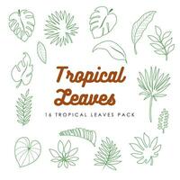 vector dieciséis tropical hojas paquete