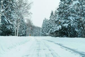 Beautiful snow road forest view during car driving in winter season. Winter travel, Road trip, Adventure, Exploring and Vacation concepts photo