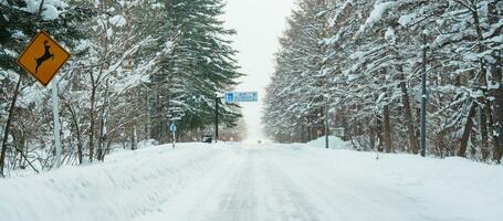 hermosa nieve la carretera bosque ver durante coche conducción en invierno estación. invierno viajar, la carretera viaje, aventura, explorador y vacaciones conceptos foto