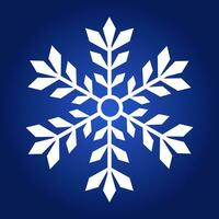 Set of beautiful snowflakes for cards, social media templates, decoration. Vector illustration