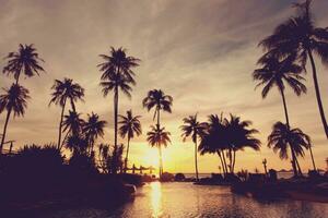 sunset at a beach photo