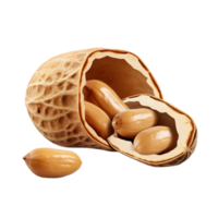 AI generated Peanut in a shell and cleared png