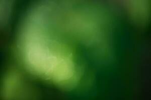 Defocus light is dark green and light. Blurred natural background as a material for a designer. photo