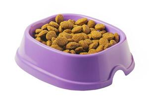 Dry pet food in purple bowl isolate on white. Balanced nutrition for animals. photo