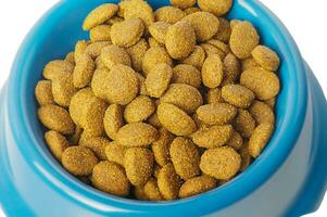 Dry pet food in a blue bowl. Balanced nutrition for cats and dogs. photo