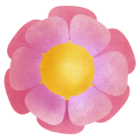 blomma kärlek och vas söt png