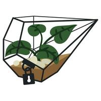 Vector illustration with a glass dodecahedron of a florarium highlighted on a white background. Flowers in a geometric flower pot in a flat style. Plant in a cage with a closed lock, glass cage