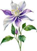 ai gegenereerd waterverf wilde bloemen clip art, ai-gegenereerd. png