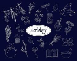 Hand-drawn herbology elements set. Green witch elements doodles. Green witch aesthetic. Elements for fairy witchcraft design. Isolated on blue background. vector